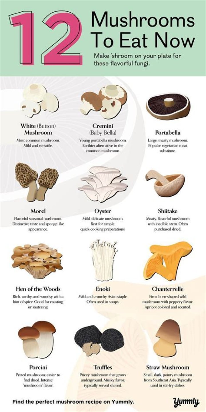 How do you prepare oyster mushrooms to eat?