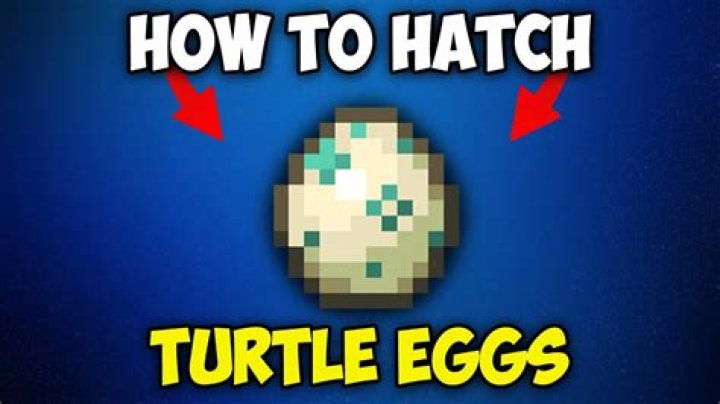 How long does it take for minecraft turtle eggs to hatch