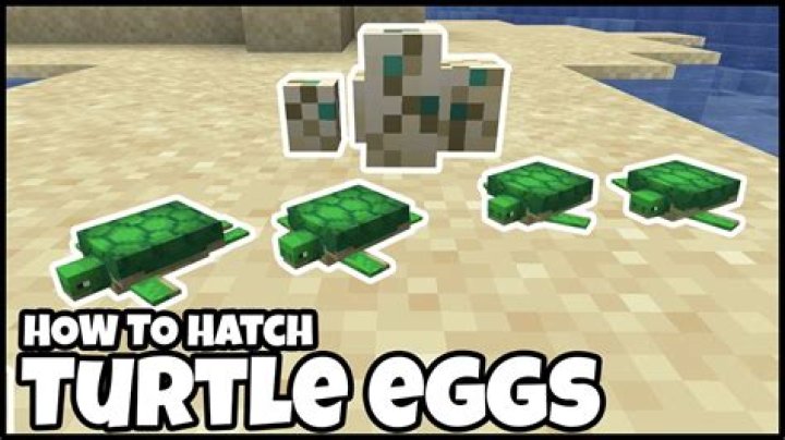 How long does it take turtle eggs to hatch in minecraft