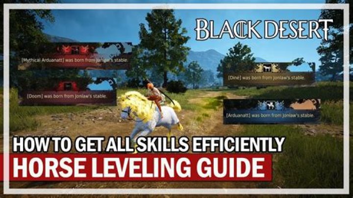 How to level alchemy black desert