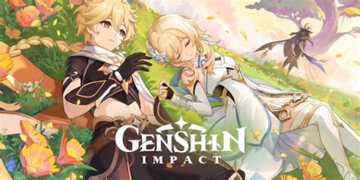 How to use genshin impact codes