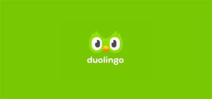 Para que serve o Duolingo?