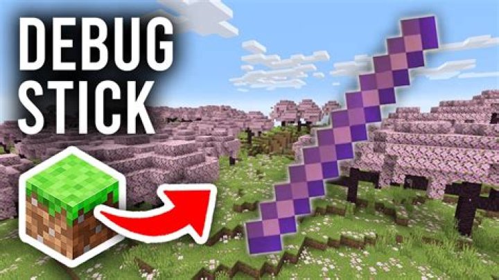 What does a carrot on a stick do in minecraft