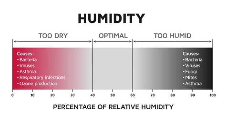 What should I wear in 90 humidity?